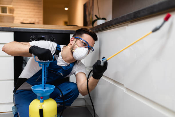 Best Bed Bug Extermination  in Richmond Heights, OH