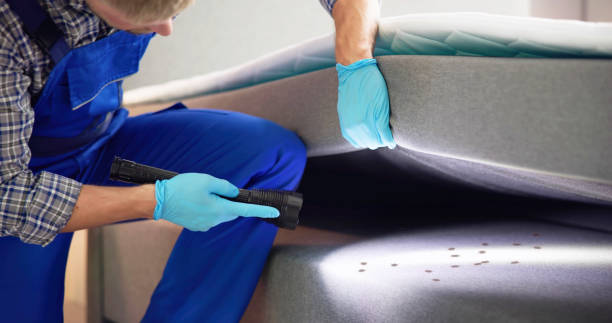Professional Pest Control in Richmond Heights, OH